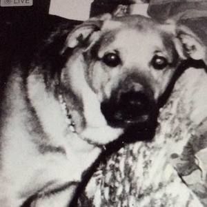 Meet your Posher, Carol